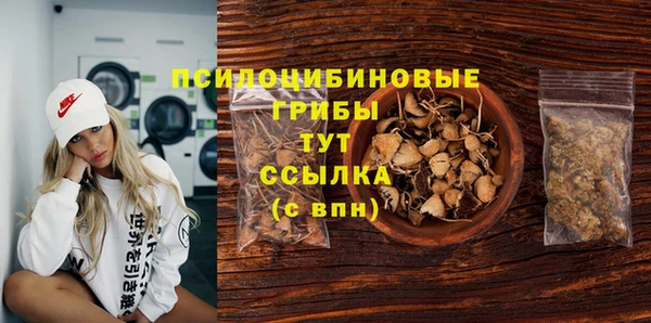 прущая мука Верея
