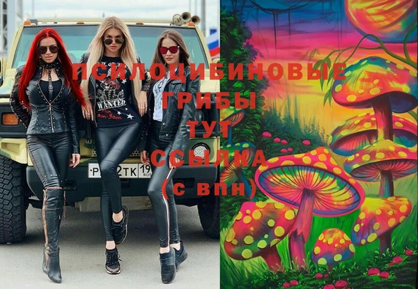 ПСИЛОЦИБИНОВЫЕ ГРИБЫ Волоколамск