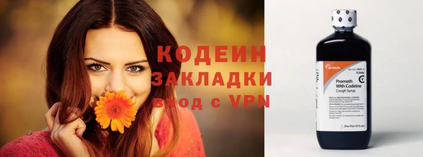ГАЛЛЮЦИНОГЕННЫЕ ГРИБЫ Верхний Тагил