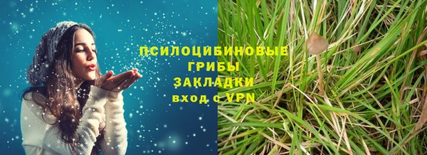 ГАЛЛЮЦИНОГЕННЫЕ ГРИБЫ Верхний Тагил