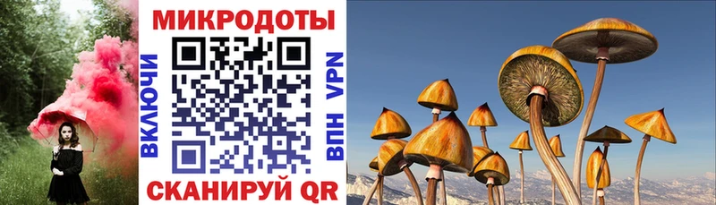 где купить наркоту  Кизел  Псилоцибиновые грибы мицелий 